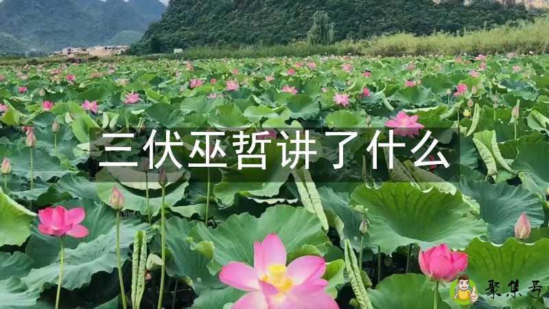 三伏巫哲讲了什么