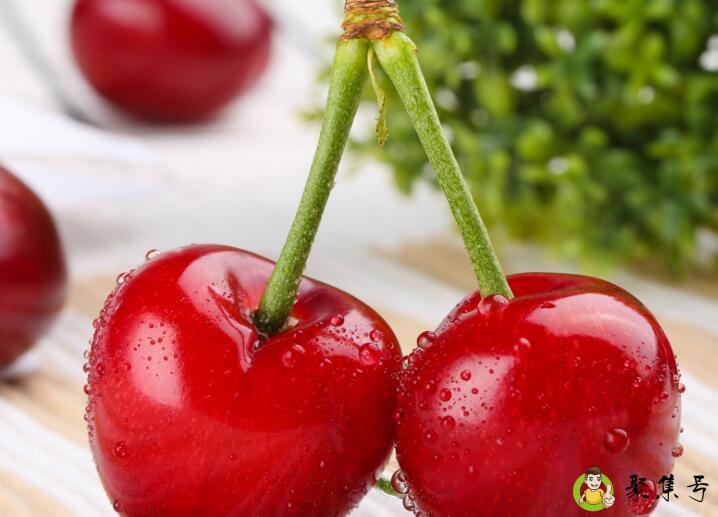 详细阅读:樱桃园是哪里 樱桃园是哪里