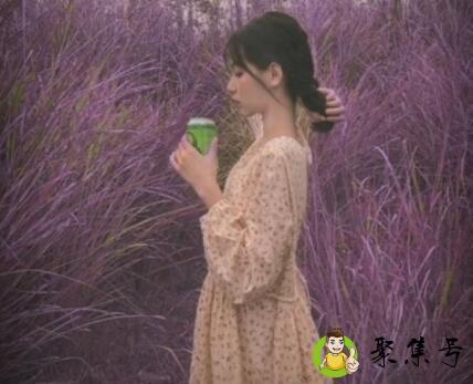 详细阅读:智者不入爱河冤种重蹈覆辙什么意思 智者不入爱河冤种重蹈覆辙什么意思