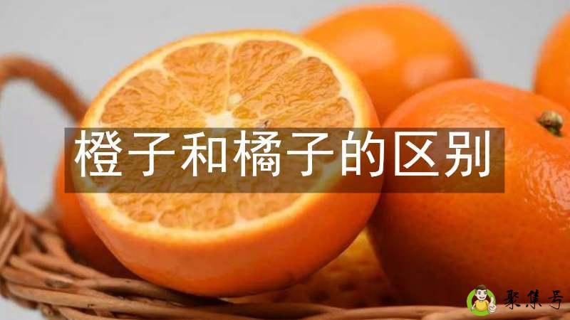 详细阅读:橙子和橘子的区别 橙子和橘子的区别