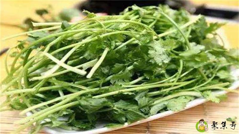 盐须菜跟香菜的区别