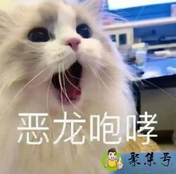 恶龙咆哮是什么梗