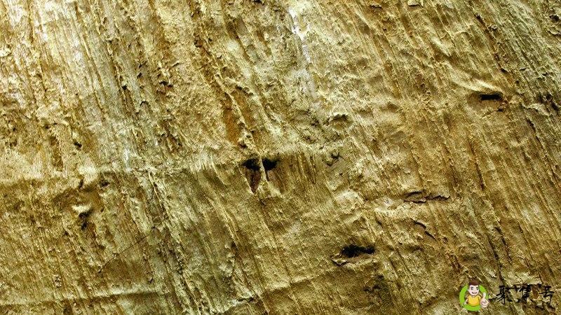 地质层分为哪些层