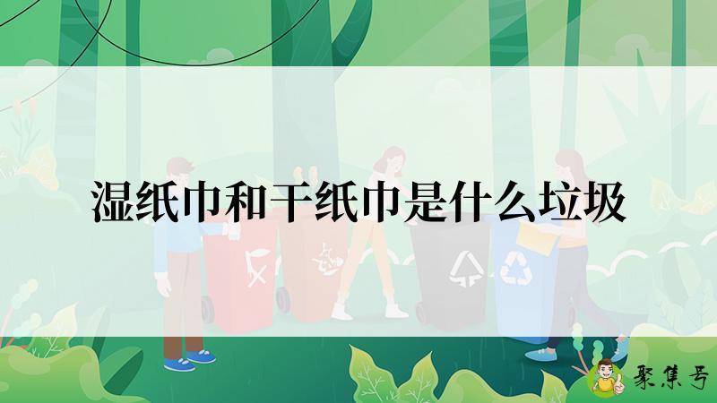 详细阅读:湿纸巾和干纸巾是什么垃圾 湿纸巾和干纸巾是什么垃圾
