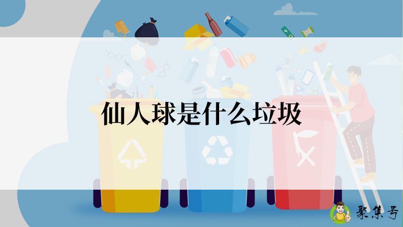 仙人球是什么垃圾