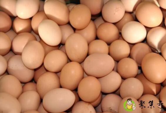 详细阅读:市面上的鸡蛋有激素吗 市面上的鸡蛋有激素吗