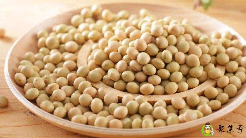 详细阅读:黄豆不泡可以直接煮吗 黄豆不泡可以直接煮吗