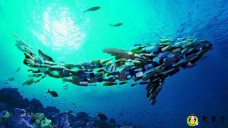 详细阅读:海洋污染的危害 海洋污染的危害