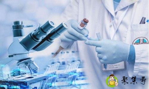 首席科学家是什么级别