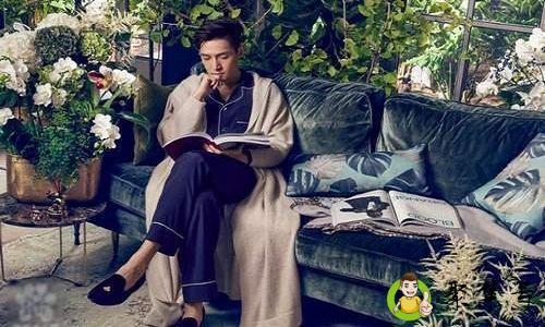 我的新墙头什么意思