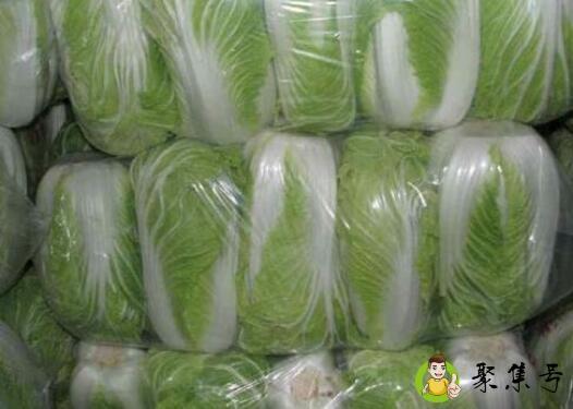 详细阅读:大批量蔬菜保鲜方法 大批量蔬菜保鲜方法