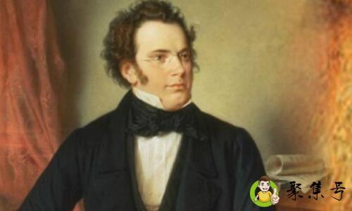 详细阅读:舒伯特玫瑰什么意思 舒伯特玫瑰什么意思