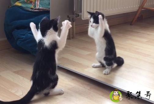 详细阅读:戴眼镜照镜子真实吗 戴眼镜照镜子真实吗