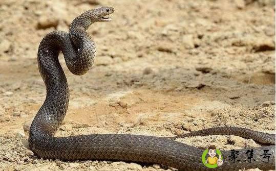 详细阅读:天生残疾的生肖是什么 天生残疾的生肖是什么