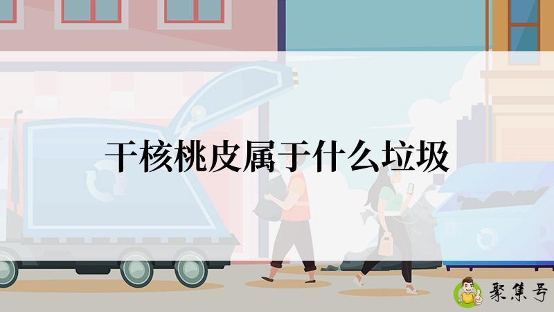 干核桃皮属于什么垃圾