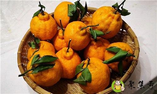 详细阅读:粑粑柑能存放多长时间 粑粑柑能存放多长时间