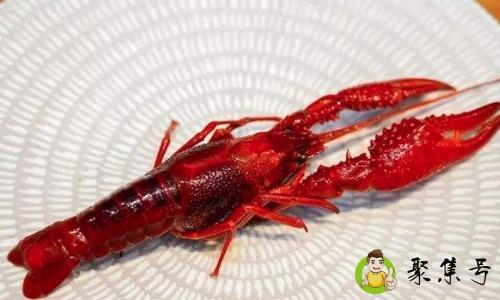 详细阅读:小龙虾产地有那几个地方 小龙虾产地有那几个地方