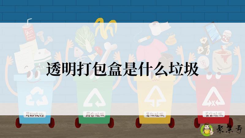 详细阅读:透明打包盒是什么垃圾 透明打包盒是什么垃圾