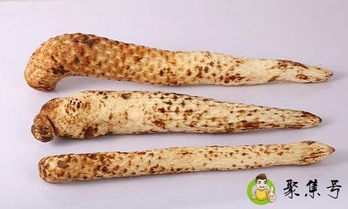 肉松蓉和肉苁蓉的区别