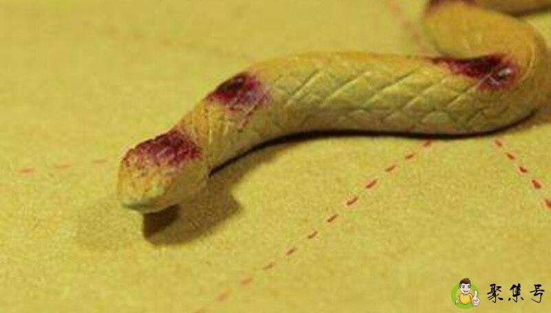 1977年属什么生肖