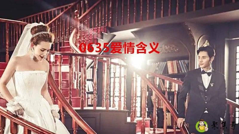 详细阅读:0635爱情含义 0635爱情含义