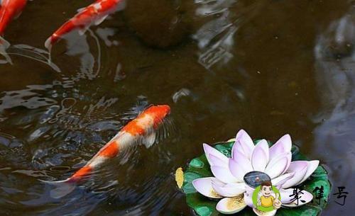 详细阅读:锦锂是什么意思 锦锂是什么意思