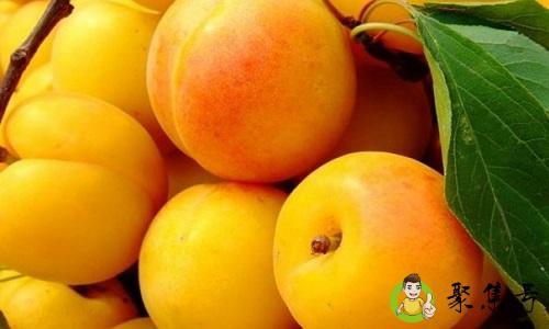 杏子可以酿酒吗