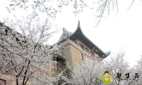 武大学生能带人赏樱吗