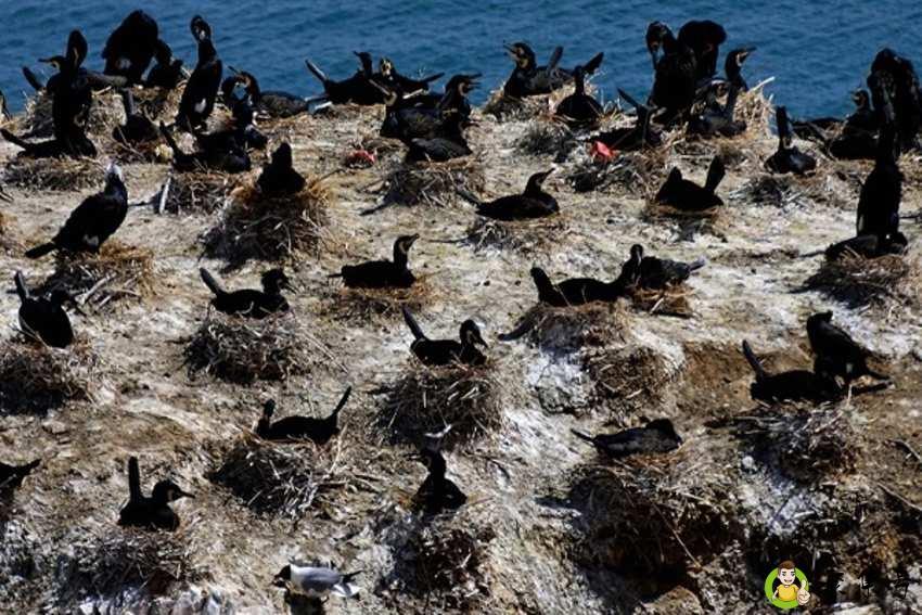 详细阅读:青海是哪里 青海是哪里