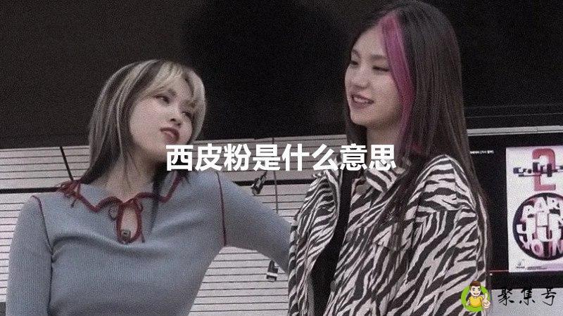 详细阅读:西皮粉是什么意思 西皮粉是什么意思