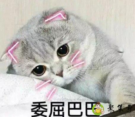 详细阅读:打掉牙往肚子里咽是什么意思 打掉牙往肚子里咽是什么意思