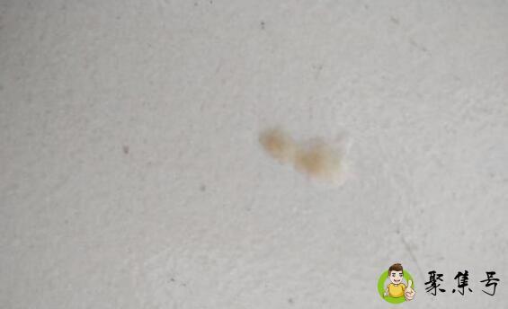 痰属于什么垃圾