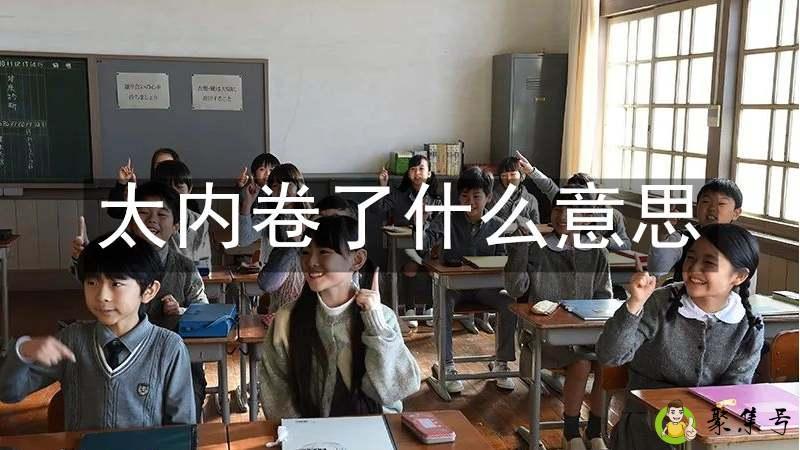 太内卷了什么意思