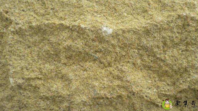 砂岩变质后是什么岩石