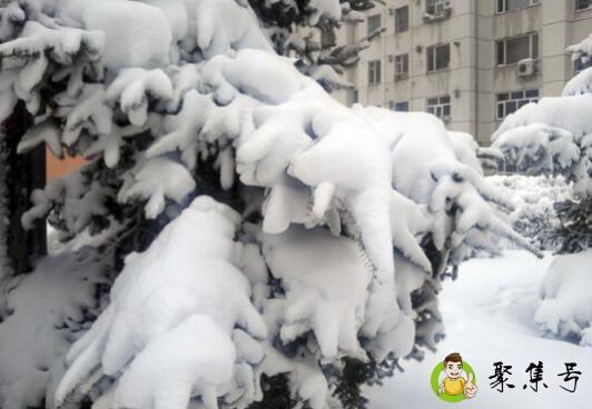 霜和雪都和雨有关吗