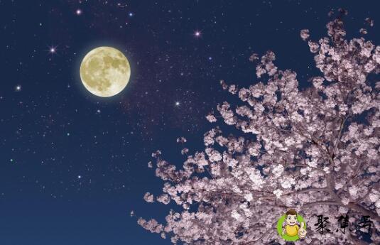 详细阅读:白月光是什么意思梗 白月光是什么意思梗