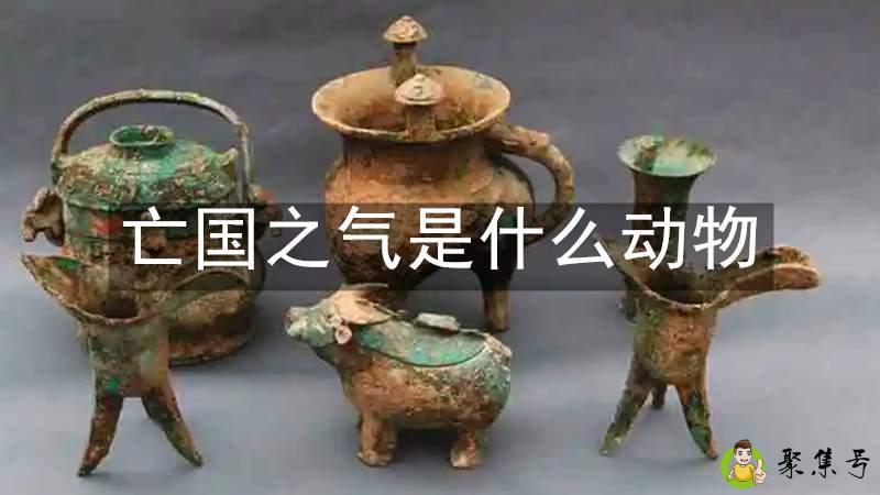 详细阅读:亡国之气是什么动物 亡国之气是什么动物