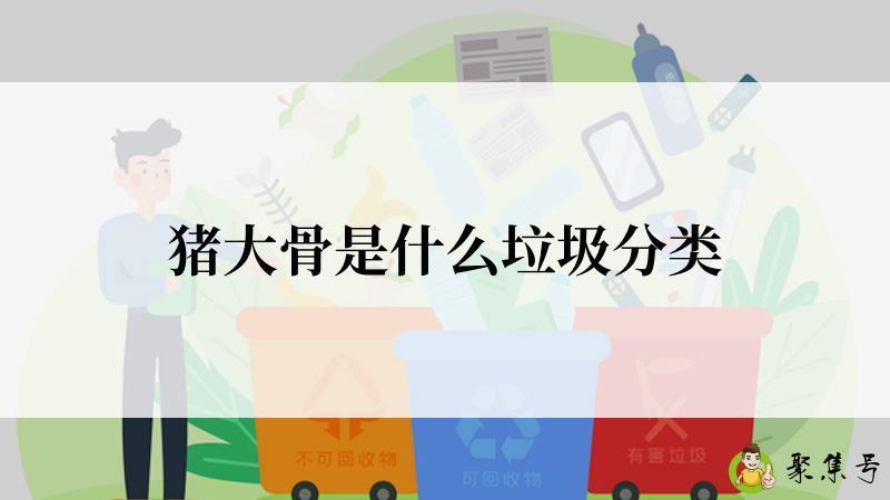 详细阅读:猪大骨是什么垃圾分类 猪大骨是什么垃圾分类