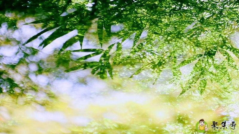 详细阅读:一丝凉意是什么意思呢 一丝凉意是什么意思呢