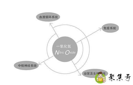 一氧化氮有毒吗