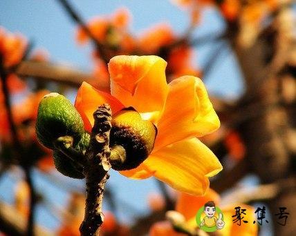 四川攀枝花是几线城市