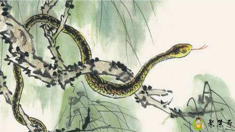 详细阅读:风平浪静是什么生肖 风平浪静是什么生肖