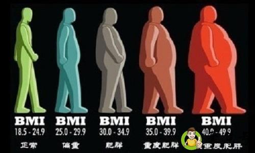 详细阅读:bmi超过多少算肥胖 bmi超过多少算肥胖