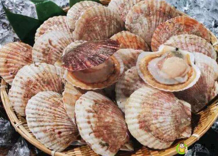 详细阅读:刺贝和扇贝的区别 刺贝和扇贝的区别