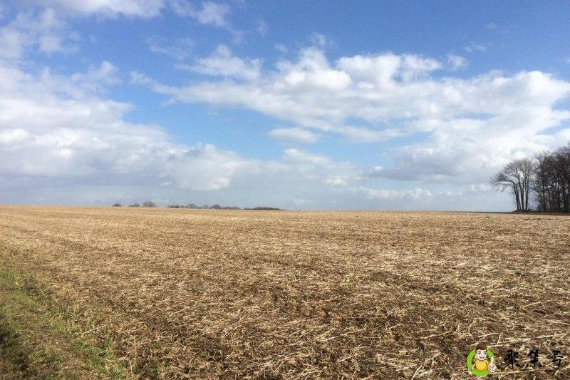 水浇地和旱地的区别