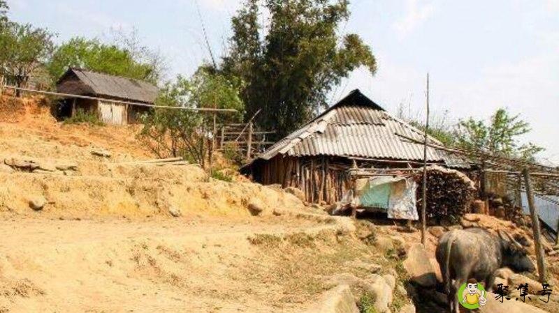 人间真实什么意思