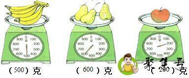 一斤等于多少克