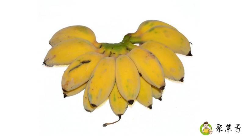 详细阅读:苹果蕉和香蕉的区别 苹果蕉和香蕉的区别