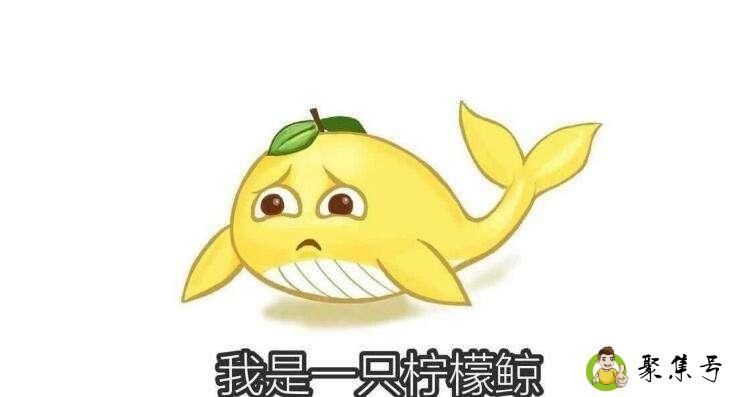 详细阅读:柠檬鲸是什么意思 柠檬鲸是什么意思