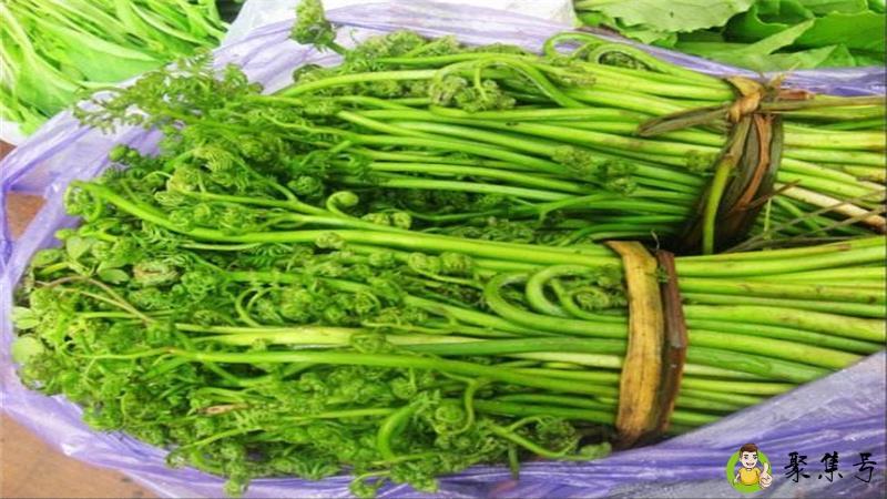 详细阅读:水蕨菜和山蕨菜的差别 水蕨菜和山蕨菜的差别